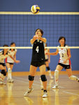 _P1B1213 - Version 2