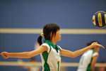 _P1B1238 - Version 2