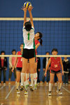 _P1B1246 - Version 2
