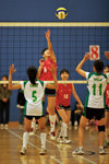_P1B1259 - Version 2