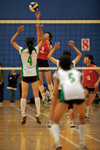 _P1B1269 - Version 2