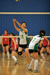 _P1B1272 - Version 2
