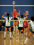 _P1B1273 - Version 2