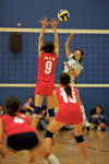 _P1B1310 - Version 2