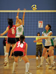 _P1B1320 - Version 2