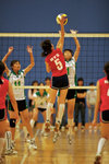 _P1B1371 - Version 2