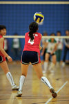 _P1B1384 - Version 2