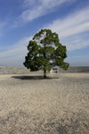 Tree Clock @ Otsu, Lake Biwa
KW7Z7305