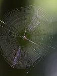 Web  KW7Z8597
