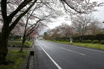 Sakamoto road side
_W7Z7540-01