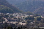 Otsu landscape along hill side
_W7Z7749-01
