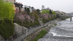 Kyoto downtown "Shjo"
_W7Z8293-01