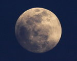 Moon Kyoto
_W7Z8415-01