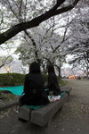 Ladies celebrating Sakura blossom after office
_W7Z6170-01