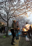 BBQ under Sakura blossom
_W7Z6176-01