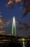 _W7Z6263-01