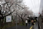 Ayashyama Railway Station
_W7Z6737-01