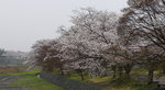 Ayashyama Landscape 
_W7Z6795-01