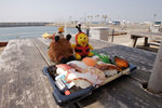 _P1B3402 - Version 2