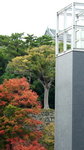 The Red, Yellow, Green, New , Old, etc   DSCF3165_S