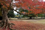 NARA  2008  
VP1B8745