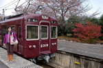 VP1B9647