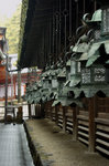 Day3_Temple Nara DSC7605