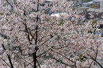Day2_DSC9138