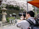 Day2_My photo Wakayama_IMG_0533