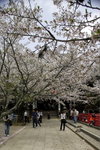 Day2_W7Z4902