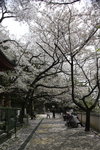 Day2_W7Z4956