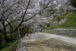Day2_W7Z5003