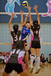 VP1B7994