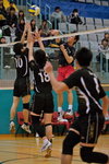 VP1B8039