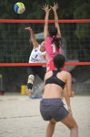 _P1B4036-01