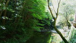 DSCF0760