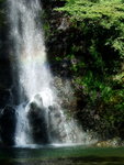 DSCF0826