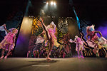 _P1B6890 - Version 2