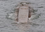 Dragon Submarine
_W7Z2551