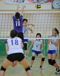 VP1B4384