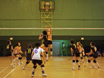 _P1B7444 - Version 2