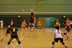 _P1B7448 - Version 2
