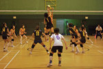 _P1B7451 - Version 2