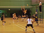 _P1B7452 - Version 2