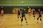 _P1B7460 - Version 2
