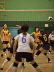 _P1B7466 - Version 2