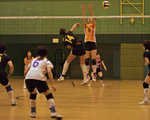_P1B7470 - Version 2
