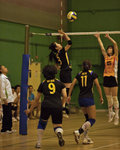_P1B7478 - Version 2