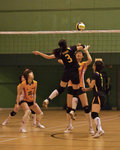 _P1B7485 - Version 2