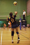 _P1B7486 - Version 2